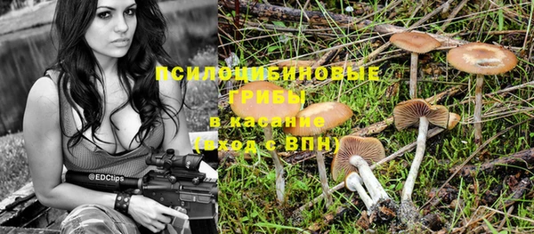 винт Алексин