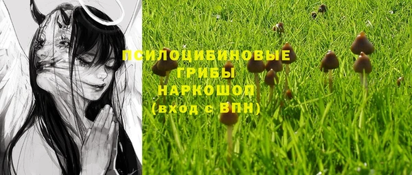 винт Алексин