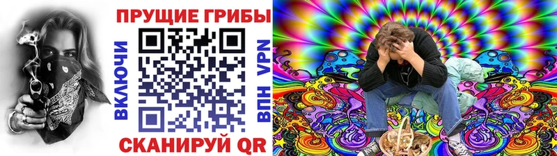 Галлюциногенные грибы мицелий  где найти   Арамиль 